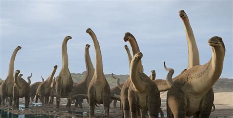 noua specie de dinozauri este printre cele mai mici descoperite vreodata