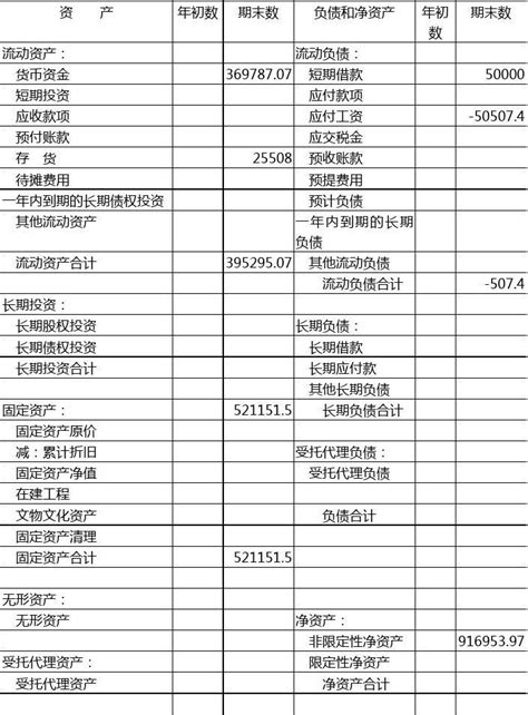 民办非企业单位会计报表word文档在线阅读与下载无忧文档