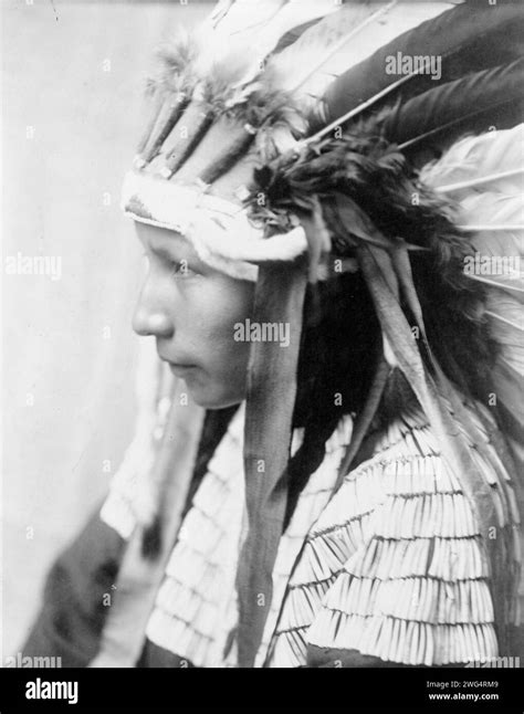 The Daughter Of Bad Horses Profile C1905 Cheyenne Girl Head And