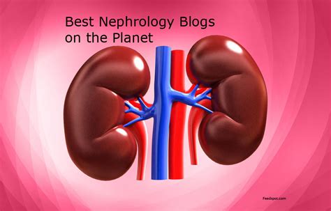 Top 60 Nephrology Blogs and Websites To Follow in 2021