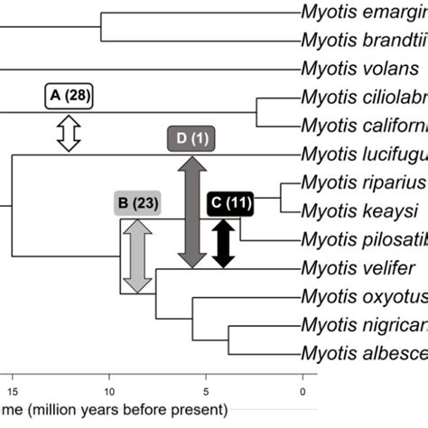 Proposed Introgression Pathways Identified Using Quartet Asymmetry