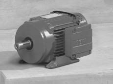 Motor Asincrono 0 25 Kw 6 Polos Ie3 Ip55 Ref Sew Eurodrive Drn71m6 Fg Tf