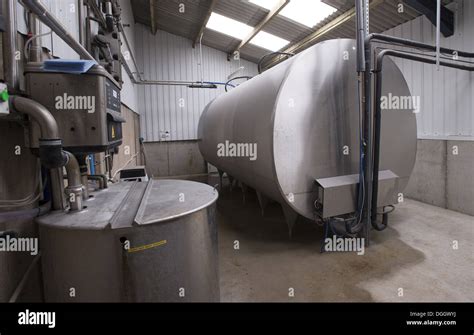 Dairy Farming Large Capacity Bulk Milk Tank In Farm Dairy Stock Photo