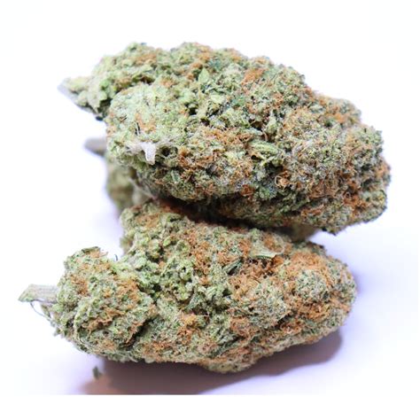 SUNSET SHERBET - Oh My Buds