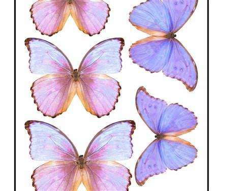 Pack Of 140 Edible Pre Cut Wafer Butterfly 2 Cm Mini Pink Etsy