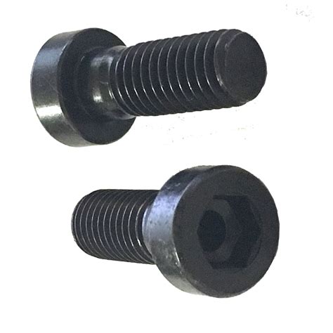 10 M10 15 X 25mm Low Profile Socket Head Cap Screw Grade 109