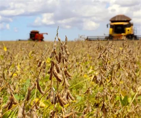 Not Cias Pib Da Agropecu Ria Fecha Queda De Portal Do