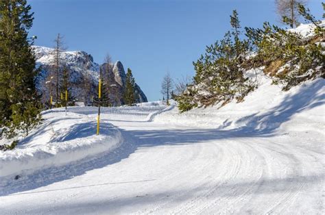 252 Treacherous Mountain Road Stock Photos Free Royalty Free Stock