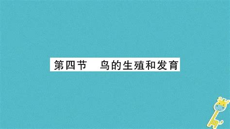 2018年八年级生物下册714鸟的生殖和发育课件新版新人教版word文档在线阅读与下载无忧文档