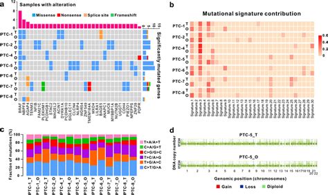 Genetic Characterization Of Ptc Tissues And The Derived Organoids A