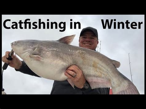 Catfishing In Winter YouTube