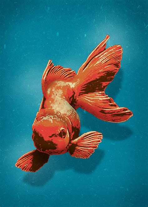 Gold Fish Poster By Izmo Scribbles Displate