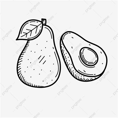 avocado black  white clipart