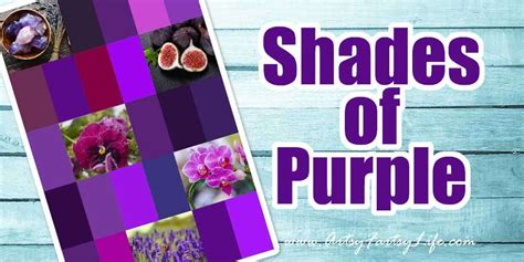 29 Different Shades Of Purple · Artsy Fartsy Life