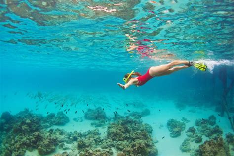 Tour En Kayak Y Snorkel En Portobelo Desde Ciudad De Panam