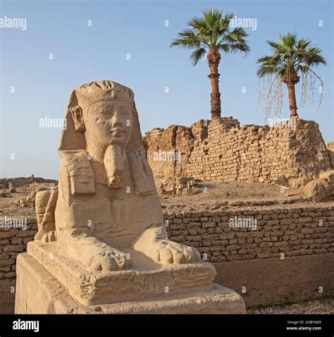 Single Statue With Lion Body And Pharaoh Head At Avenue Of Sphinxes In