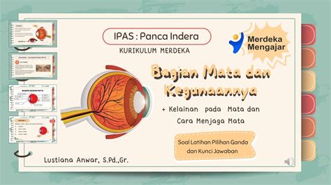 Ipas Panca Indera Sub Bab Mengenal Bagian Bagian Mata Dan