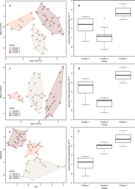 K Means Clustering Result With The Best Classification Performance For