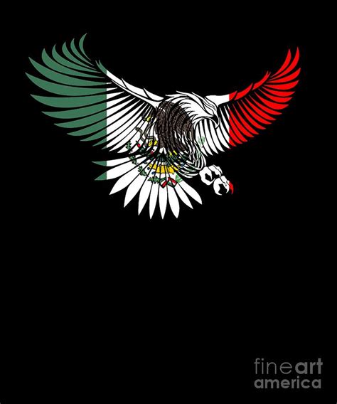 Mexican Flag Eagle Drawing Np