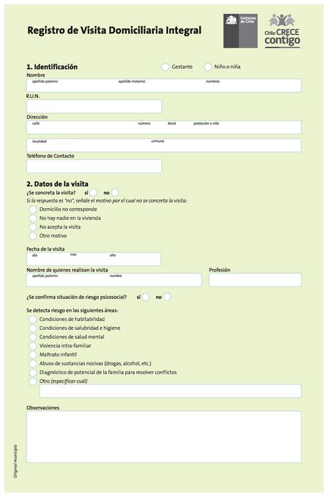 Formulario Registro De Visita Domiciliaria Integral Psicologia Social