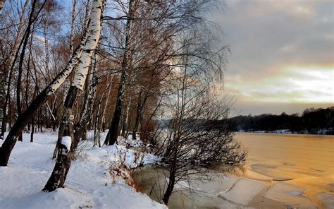 Wallpaper Sunlight Trees Landscape Nature Reflection Snow