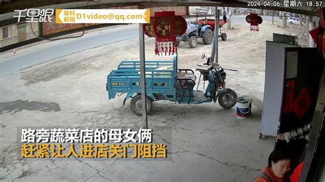 【甘肃】路人突遭家养大狗追逐 母女俩及时开门帮躲过一劫