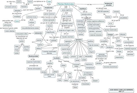 Plantas Medicinales Mapa Conceptual