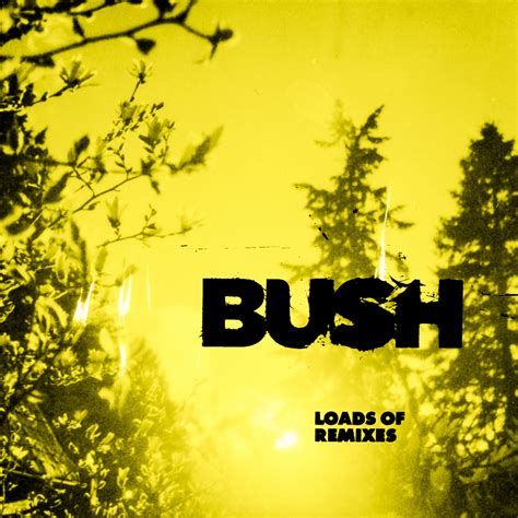 Bush Loads Of Remixes Lyrics And Tracklist Genius