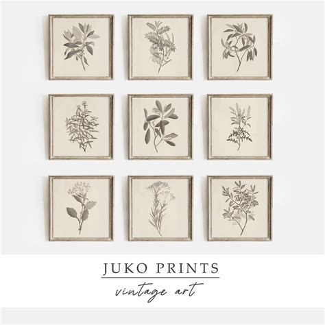 Druckbares Wandkunst Set Mit 9 Neun Drucken Von Vintage Botanischen