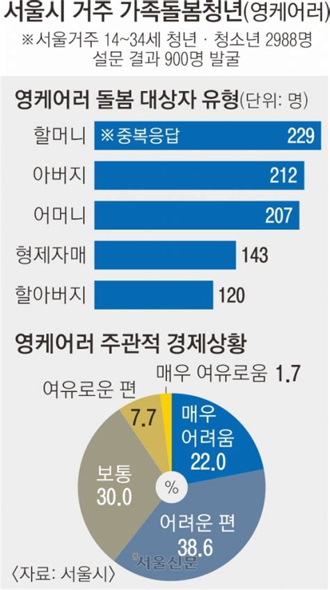 ‘가족돌봄청년 서울에만 900명 60가 경제적 어려움 시달려 서울신문