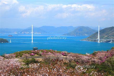 秋のしまなみ海道伯方島開山公園 写真素材 [ 6290040 ] フォトライブラリー Photolibrary