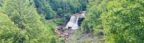 Blackwater Falls Overlook 146 Reviews Map West Virginia AllTrails