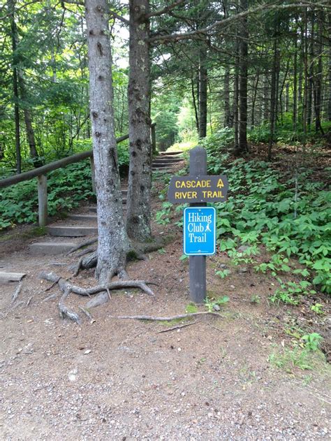 Cascade River Trail at Cascade River State Park, 10 miles south of ...