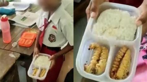 Viral Bekal Makanan Siswa Sd Ini Bikin Gurunya Tuai Hujatan Ketahui