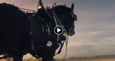 The 2019 Budweiser Superbowl Commercial Is Here!! - The Horseaholic