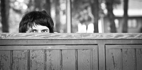 Spying Over Fence Stock Photos Free And Royalty Free Stock Photos From