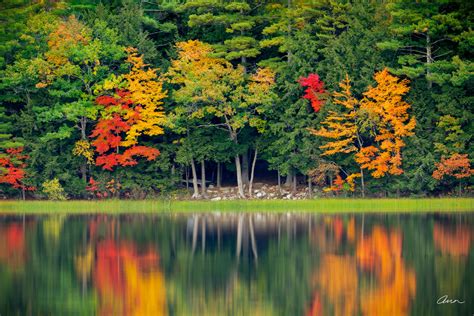 Fall Foliage Maine