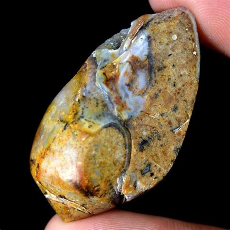 90 95 Cts 100 Natural Crystal Fossil Snail Druzy Agate Cabochon