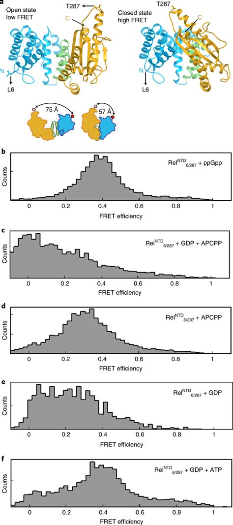 Relttntd Catalytic Domain Conformational Dynamics In The Presence Of