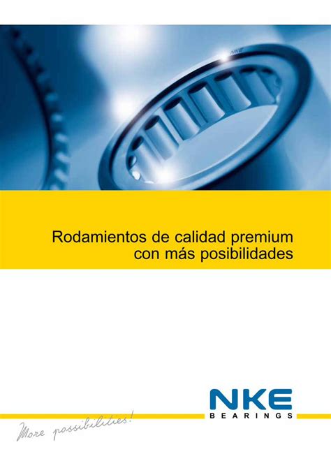 Pdf Rodamientos De Calidad Premium Con M S Posibilidades Dokumen Tips