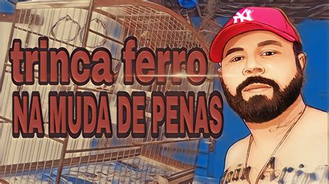 Trinca Ferro Na Muda De Penas YouTube