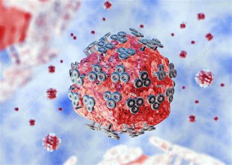 Aids Virus Particle Illustration Stock Image C Science