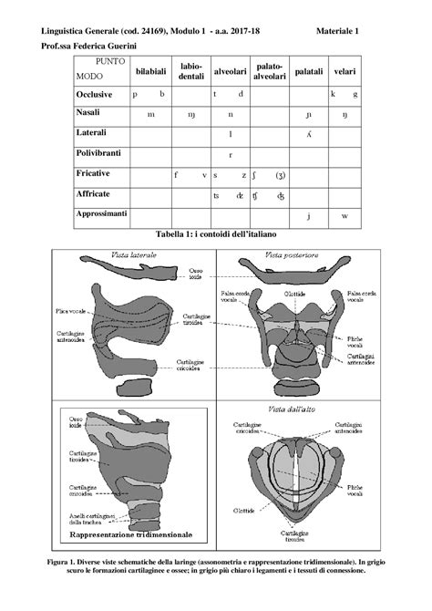 The International Phonetic Alphabet Revised To 2005 Docsity