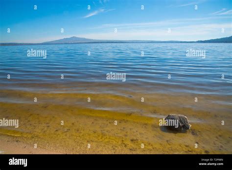 Santillana Reservoir Manzanares El Real Madrid Province Spain Stock