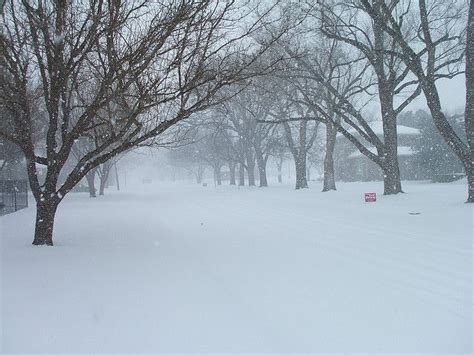 Softly Falling Snowamarillo Tx Winter Scenes Snow Pictures Snow