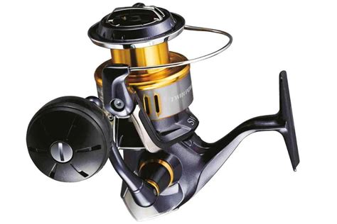 Shimano Saltwater Fishing Reels: Great Choice For Inshore Fishing ...