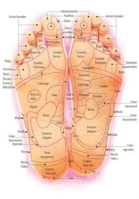 Masaje De Pies Reflexología Masaje