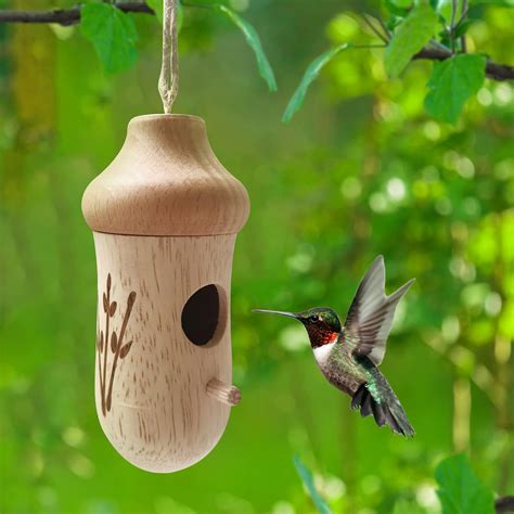 Amazon Creative Hummingbird House Upgraded Outdoor Hanging