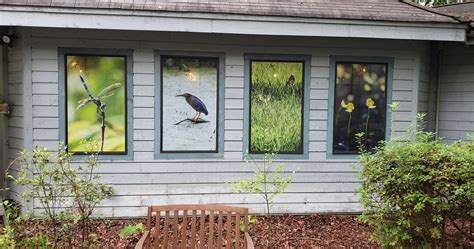 Bird Friendly Buildings Audubon