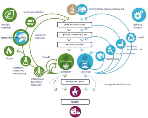 The Butterfly Model For Circular Production And Consumption As